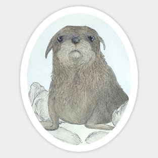 Seal Pup V2 Sticker
